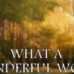 what a wonderful world lyrics